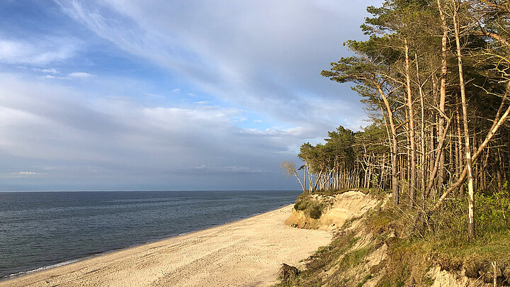 Panorama nadmorska rejonu Bałtyku. Od lewej akwen, plaża oraz klify z porastajcymi je lsasmi sosnowymi.