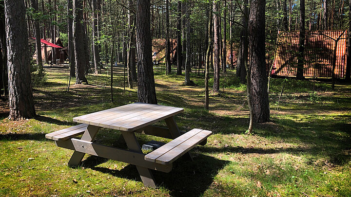 Zdjęcie stołu i ławek piknikowych pośród drzew.